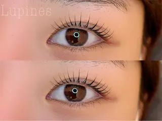 マツエク・マツパ 🌱Lupines Natsumi🌱のマツエク・マツパデザイン