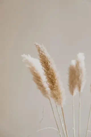 マツエク・マツパ miien(SALONVILLAGE内)所属・MOE /渋谷・明治神宮前のマツエク・マツパデザイン