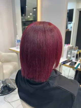 ショート カラー ハイトーン/髪質改善 🦋岩渕かすが🖤のヘアスタイル