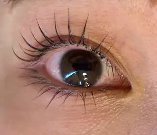 マツエク・マツパ eyelash mignon所属・eyelash mignonのマツエク・マツパデザイン