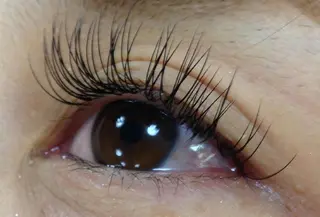 マツエク・マツパ アネラ 北本店のマツエク・マツパデザイン