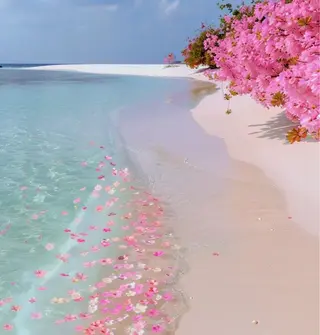 ショート カラー パーマ Amour Akala .hk　（アムールアカラ）所属・Amour Akala.hkのヘアスタイル