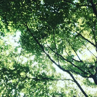 pipi..所属・pipi ..のネイルデザイン