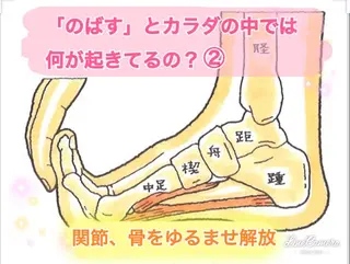 ショート カラー パーマ ヘアアレンジ メンズ キッズ ネイル マツエク・マツパ ‍痩身＆ボディ 結果出し🌟丹野のエステ・リラクイメージ