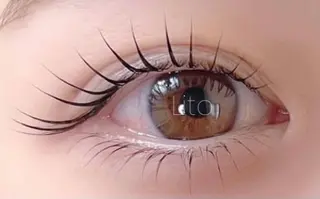 マツエク・マツパ Lito by Lupie所属・Lito by Lupieのマツエク・マツパデザイン