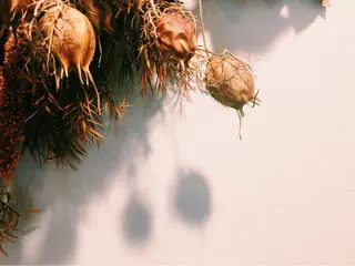 マツエク・マツパ UTA hair&eyelash所属・青木 百花のマツエク・マツパデザイン