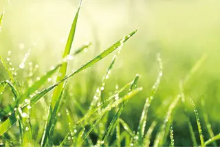 POLA クリスタルLavie所属・POLA クリスタル Lavie 原のエステ・リラクイメージ