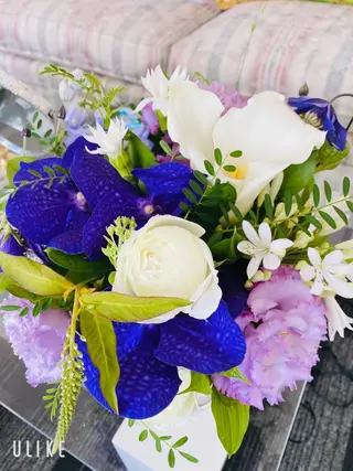 マツエク・マツパ 神山 ビューティー・アイのマツエク・マツパデザイン