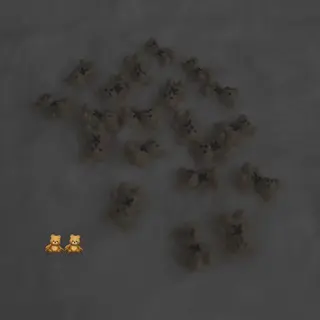 foi所属・【foi】 natsumi🌼のその他イメージ