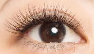 メンズ キッズ マツエク・マツパ さろんどふじた甲子園所属・江嵜 真由美　　　　甲子園のマツエク・マツパデザイン