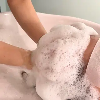 【tico】 Chihoのマツエク・マツパデザイン