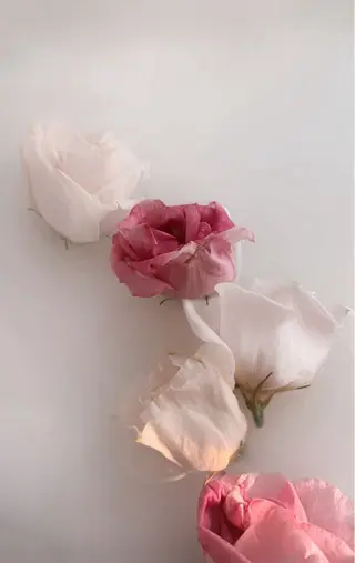 ネイル GO TODAY SHAiRE SALON 吉祥寺Glint店所属・吉祥寺ネイル&耳つぼ 🐈‍⬛🎀ANZUのネイルデザイン