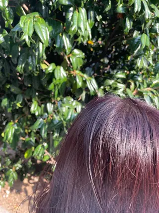 セミロング yohaku所属・yohaku misakiのヘアスタイル