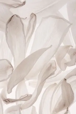 Vi2 Hirokiのマツエク・マツパデザイン