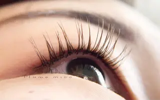 マツエク・マツパ Plume micoのマツエク・マツパデザイン