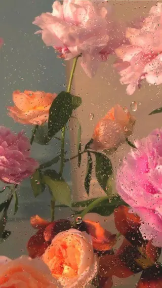 マツエク・マツパ アイブロウ 🪴LiNA 菅原愛佳のマツエク・マツパデザイン