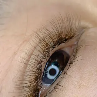 マツエク・マツパ Lani🌺 アイリストMANAのマツエク・マツパデザイン