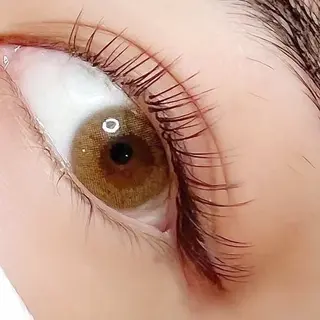 マツエク・マツパ Roy's lash所属・Roy's lash ♡　AYAのマツエク・マツパデザイン