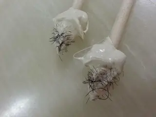 兒玉 知代の眉毛・アイブロウイメージ