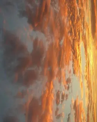 ネイル oak nail所属・óæk nailのネイルデザイン