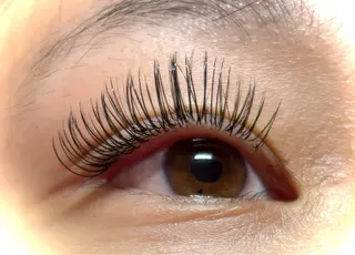 マツエク・マツパ bright Ryoyaのマツエク・マツパデザイン