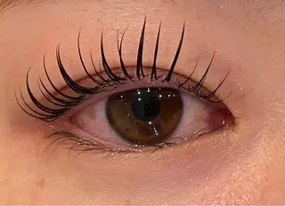 マツエク・マツパ Daisy lash 京橋店堀井のマツエク・マツパデザイン
