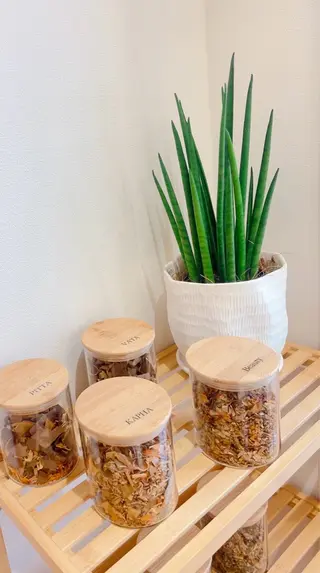 ハーブスチームテント専門店Reborn所属・ハーブスチームテント Reborn表参道のエステ・リラクイメージ