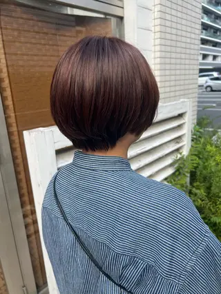 ショート カラー 石原 姫菜のヘアスタイル