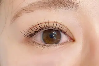 ミディアム ヘアアレンジ キッズ ネイル マツエク・マツパ アイブロウ 𓊆ᶠᵉᵉʸ𓊇 ᶜᴴᴵᴴᴬᴿᵁのマツエク・マツパデザイン