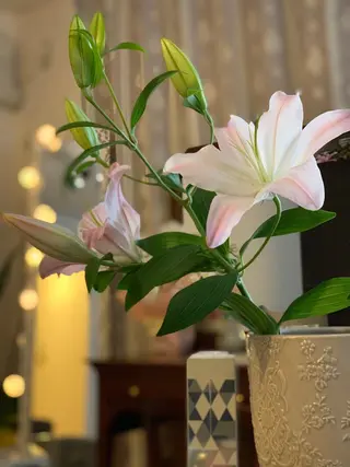 潤い艶肌・身体ケア /貸切りサロンソワンのエステ・リラクイメージ