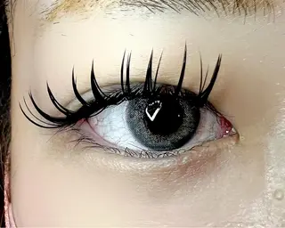 マツエク・マツパ Celeste Venus所属・🧸Celeste Venusのマツエク・マツパデザイン