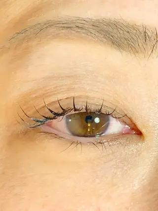 マツエク・マツパ エクステ/眉/LED peTiT堀口のマツエク・マツパデザイン