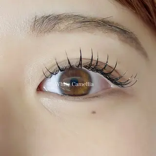 マツエク・マツパ 韓国風束感まつ毛🎀 Nanamiのマツエク・マツパデザイン