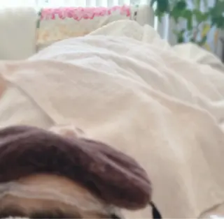 BLOOM〜 天恵（てんのめぐみ）のエステ・リラクイメージ