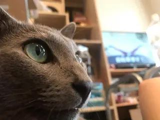 ショート カラー パーマ ヘアアレンジ メンズ キッズ ネイル マツエク・マツパ アニメ,Vオタク× 即効痩せエステサロンのエステ・リラクイメージ