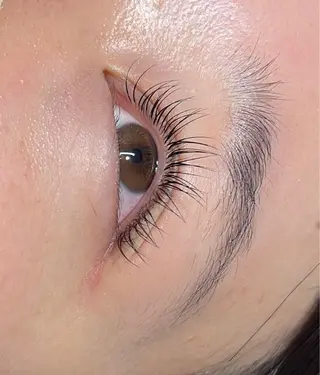 マツエク・マツパ MAQUIA蒲田店 横山のマツエク・マツパデザイン