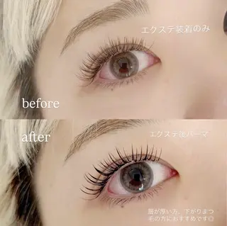 マツエク・マツパ ani 【アニ】所属・ani 【アニ】 恵比寿のマツエク・マツパデザイン