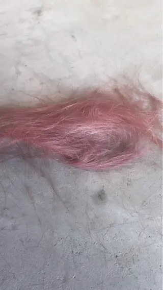 ミディアム カラー PALAN K-Beauty SHINJUKU所属・“ミニモ最高評価獲得 “代表"Kohei"のヘアスタイル