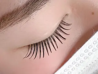 マツエク・マツパ アイリスト🐻 shioriのマツエク・マツパデザイン