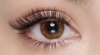 マツエク・マツパ Ele'na eye beautyのマツエク・マツパデザイン