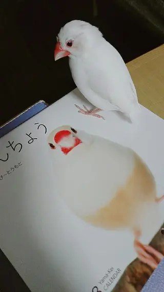 g*rossa高橋 くみこのエステ・リラクイメージ