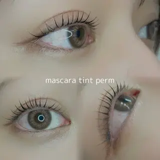 マツエク・マツパ Lanhr所属・〔Lanhr〕 🍋akiのマツエク・マツパデザイン