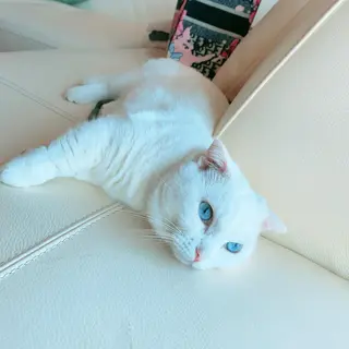 神山 ビューティー・アイのマツエク・マツパデザイン