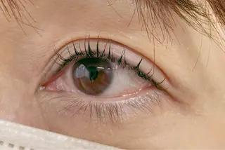 パーマ lash tailorのマツエク・マツパデザイン