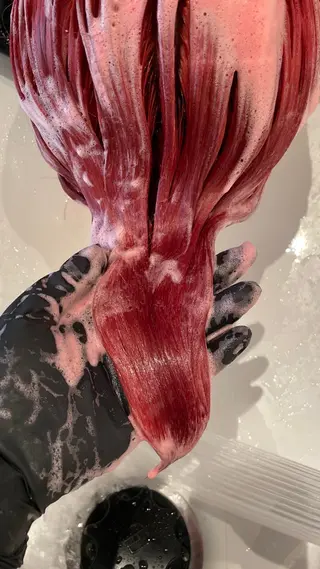 ショート fubuki🪷 似合わせカットカラーのヘアスタイル