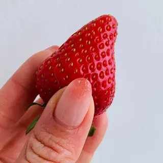 ネイル nail salon ワンミリオンのネイルデザイン