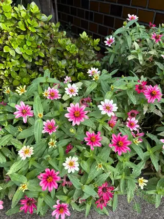 田川 美熙のエステ・リラクイメージ