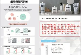 秋田 亜由美のヘアスタイル