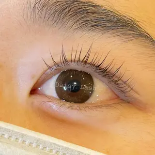 マツエク・マツパ Daisy Lash 梅田本店のマツエク・マツパデザイン