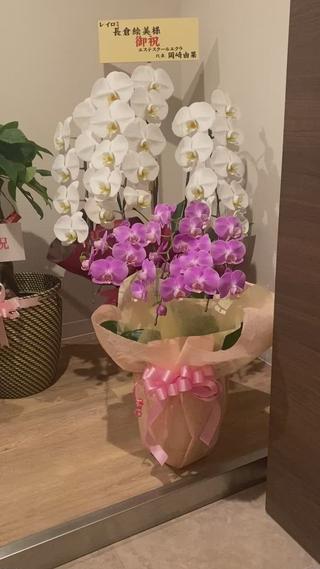 移転オープン 